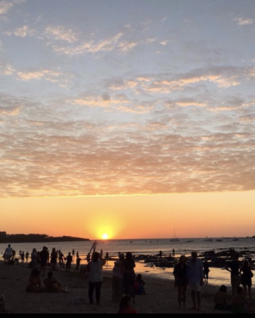 Tamarindo